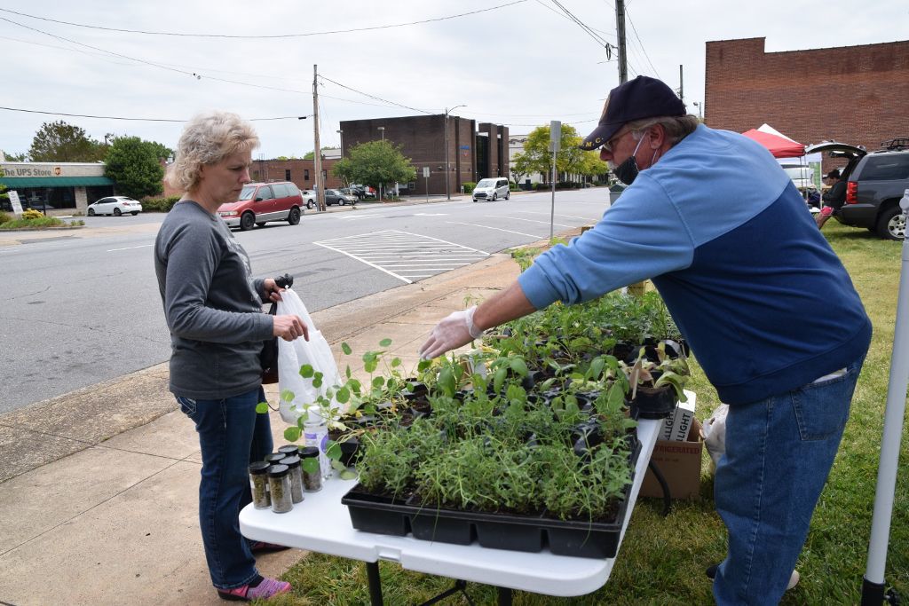 5-13-20 farmers market 034 (1024x683).jpg